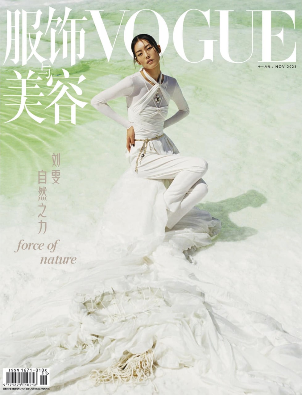 《VOGUE 服饰与美容》杂志2021年11月号 刘雯, 106M